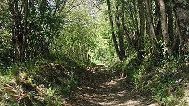Randonnée Aurignac "Sentier Botanique" · Aurignac