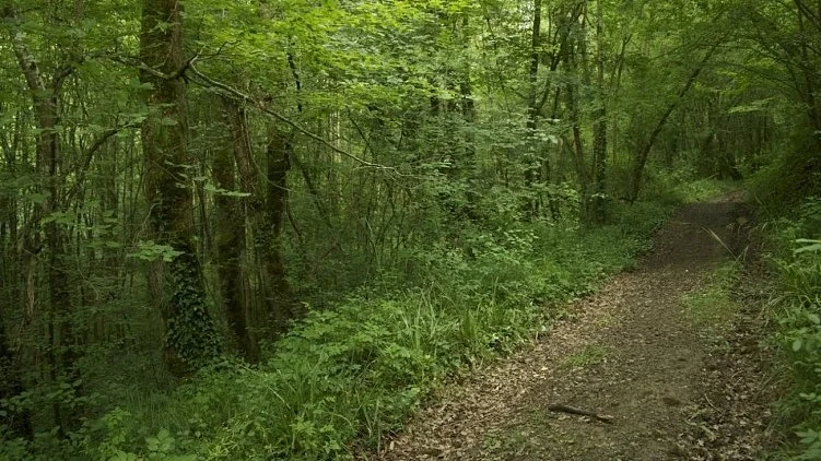 Randonnée Charlas "Les Coteaux" · Charlas