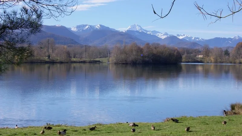 Randonnée Montréjeau "Montréjeau et son lac" · Montréjeau
