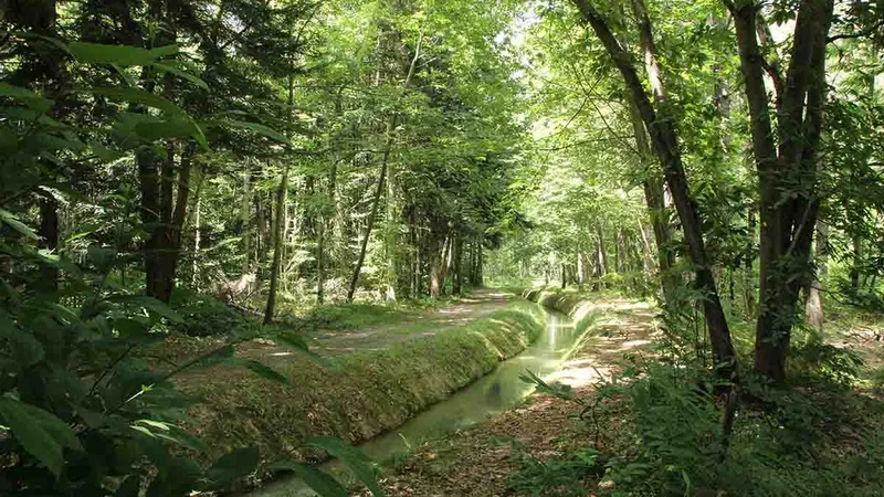Randonnée GR86 P12 Arboretum de Cardeilhac à Le Cuing (0) · Cardeilhac