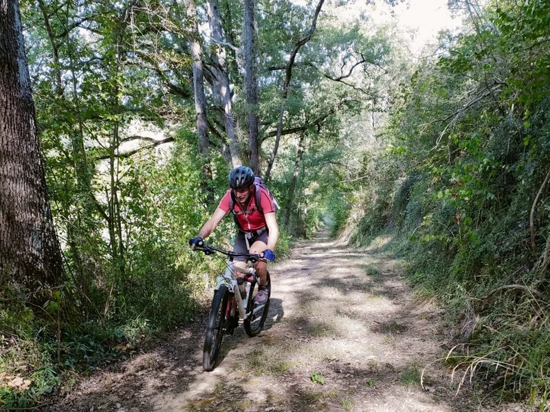 VTT N°10 Rouge: Vallée du Touch par les forêts et le lac · Labastide-Paumès