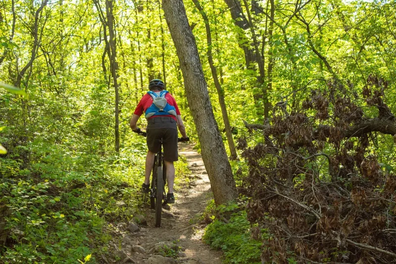 VTT N°17 Bleu: Sur les traces du nain "Ilex" (0) · Cardeilhac