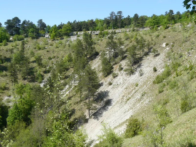 Randonnée Circuit du Cirque de la Coquille · Aignay-le-Duc