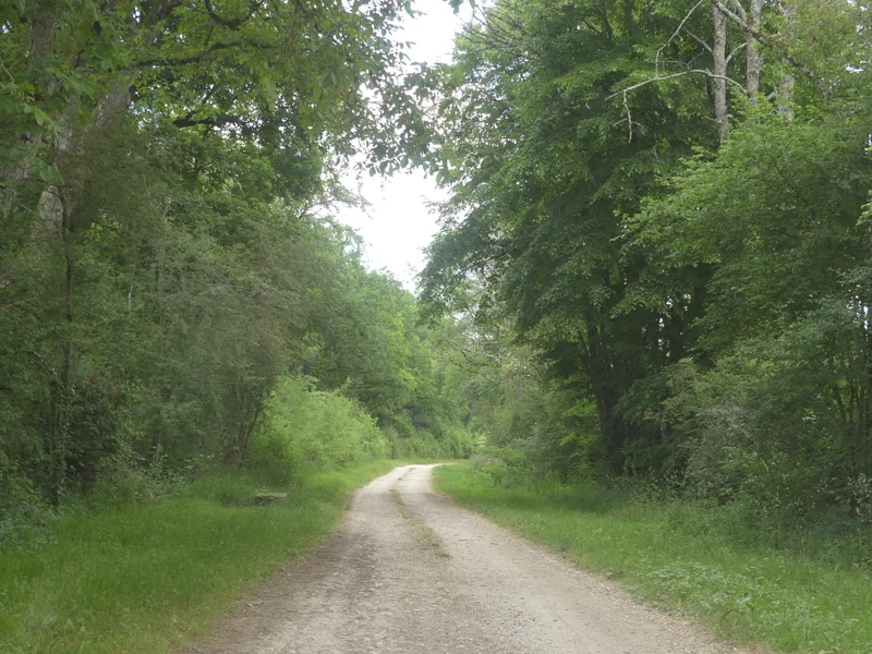 Randonnée Circuit du Mont Remin · Veuxhaulles-sur-Aube