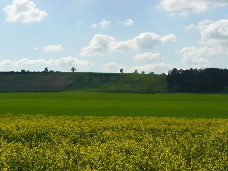 Randonnée Le circuit d'Epailly · Montigny-sur-Aube