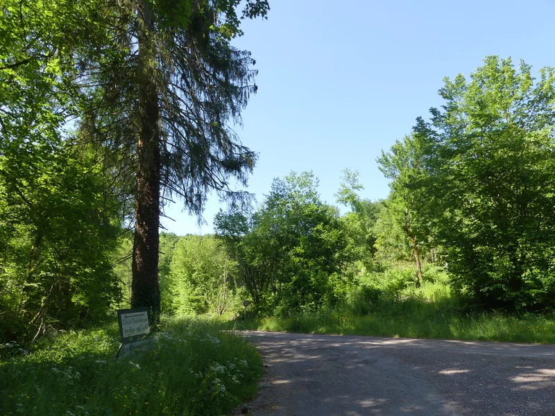 Randonnée Le circuit des Marots · Villiers-le-Duc