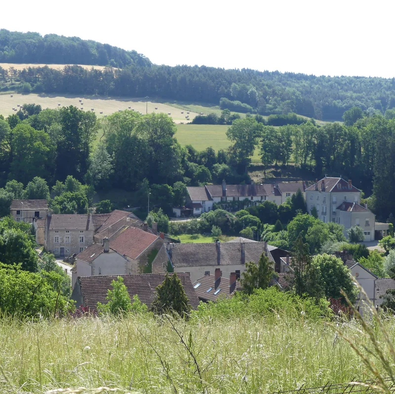 Randonnée Circuit de la butte de Taloison · Bay-sur-Aube