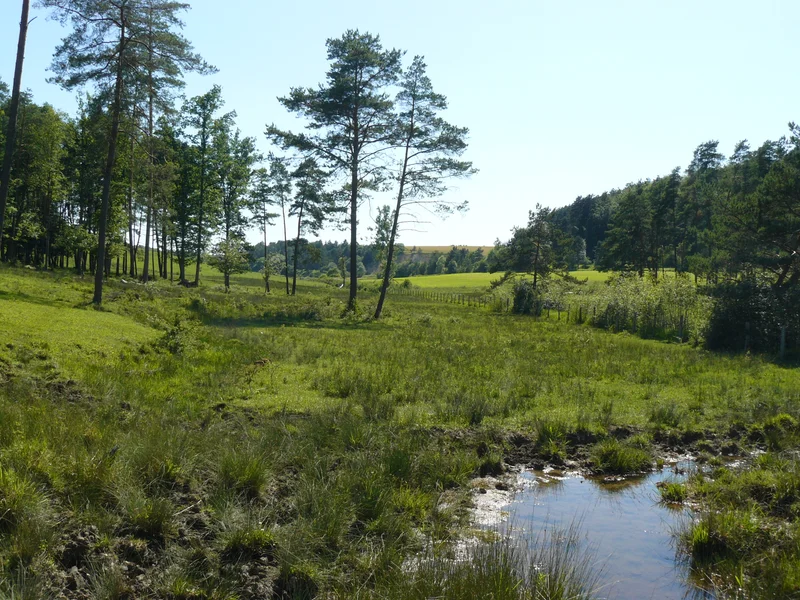 Randonnée Sentier de découverte du marais de Chalmessin · Vals-des-Tilles