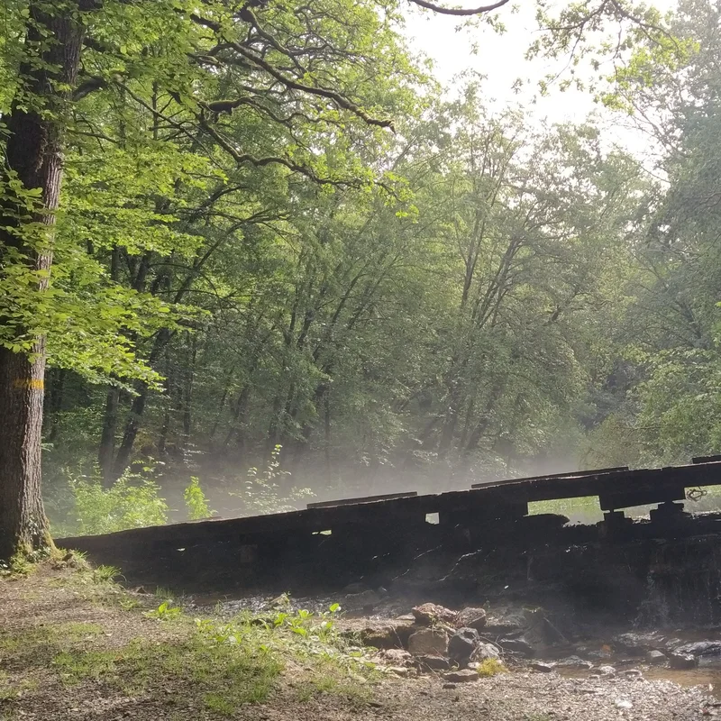 Randonnée Sentier de découverte de la Source de l'Aube · Auberive