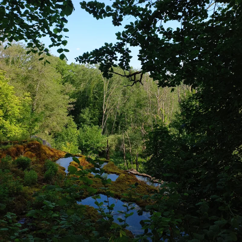Randonnée Sentier de découverte de la tufière de Rolampont · Rolampont