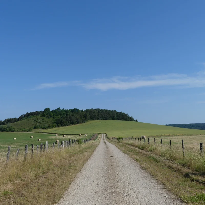 Randonnée Sentier de découverte de la butte de Taloison · Bay-sur-Aube