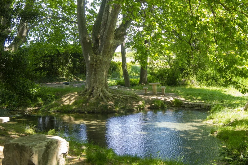 Randonnée Balade à la fontaine de Tavie · Jonquières-Saint-Vincent