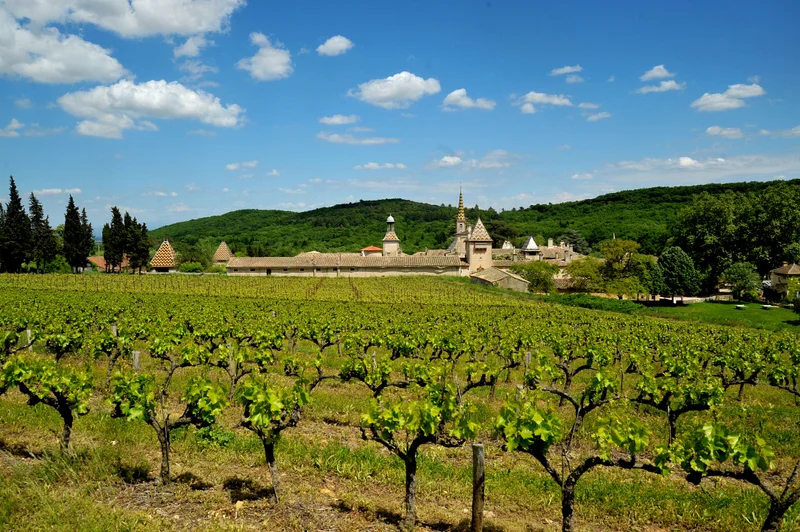 Randonnée Randonnée La Chartreuse de Valbonne · Saint-Michel-d'Euzet