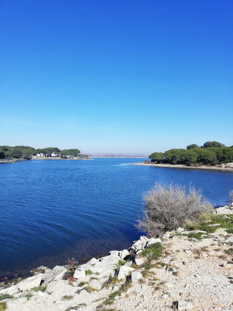 Randonnée Balade La Pinède du Ponant · Le Grau-du-Roi