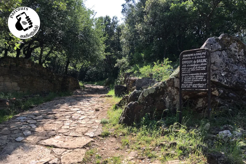 Randonnée Randonnée Le chemin de Masmolène · Le Pin