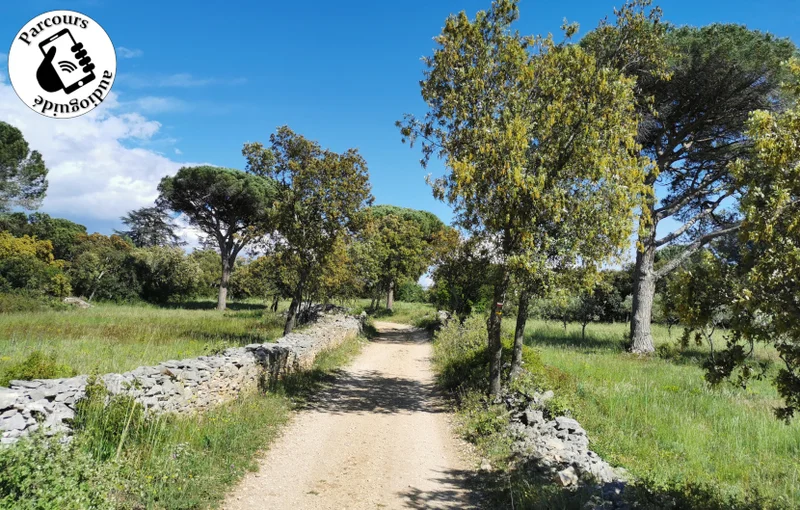 Randonnée Randonnée Le Clos de Gaillard · Nîmes
