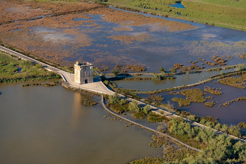 Randonnée Balade Le long des canaux · Aigues-Mortes