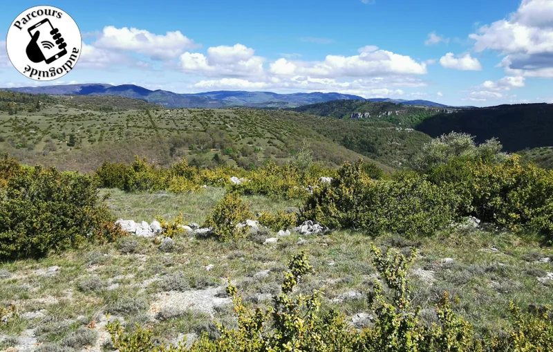 Randonnée Balade Le Sentier du Bout du Causse · Revens