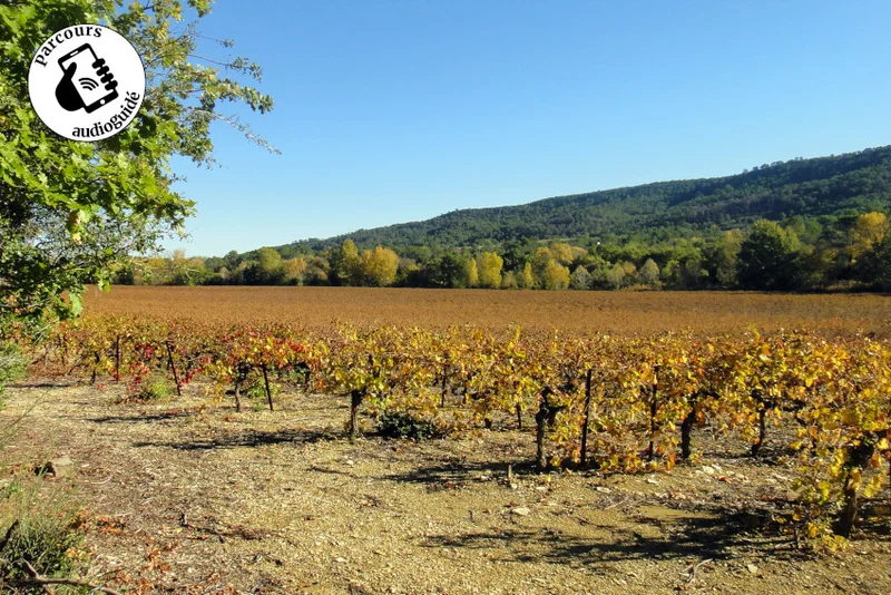 Randonnée Randonnée Le sentier du terroir · Cannes-et-Clairan