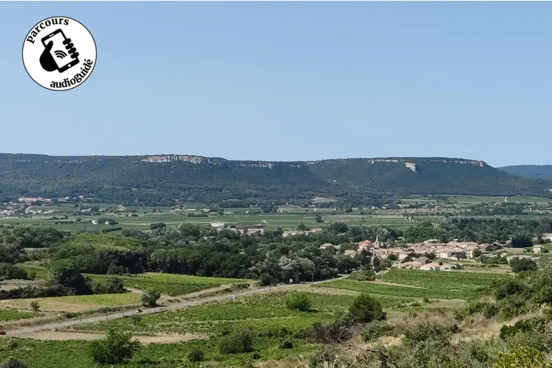 Randonnée Randonnée sur le terroir des Côtes du Rhônes · Chusclan