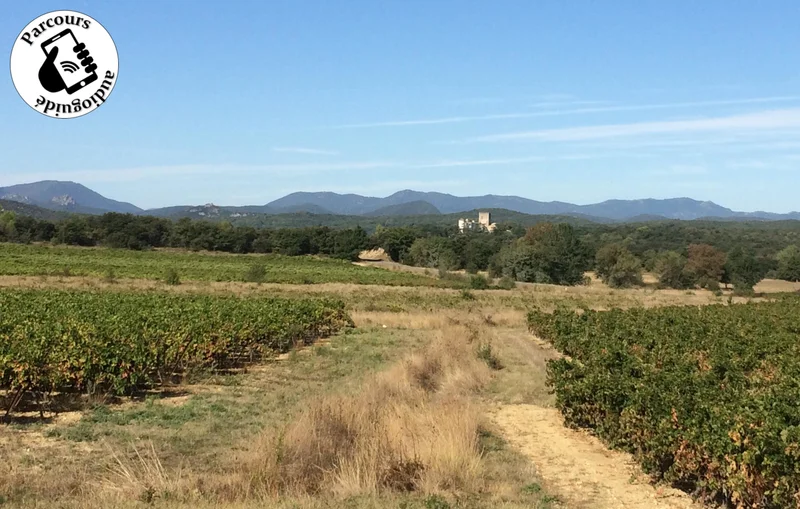 VTT Parcours VTT De Bois en Vignes · Sauve