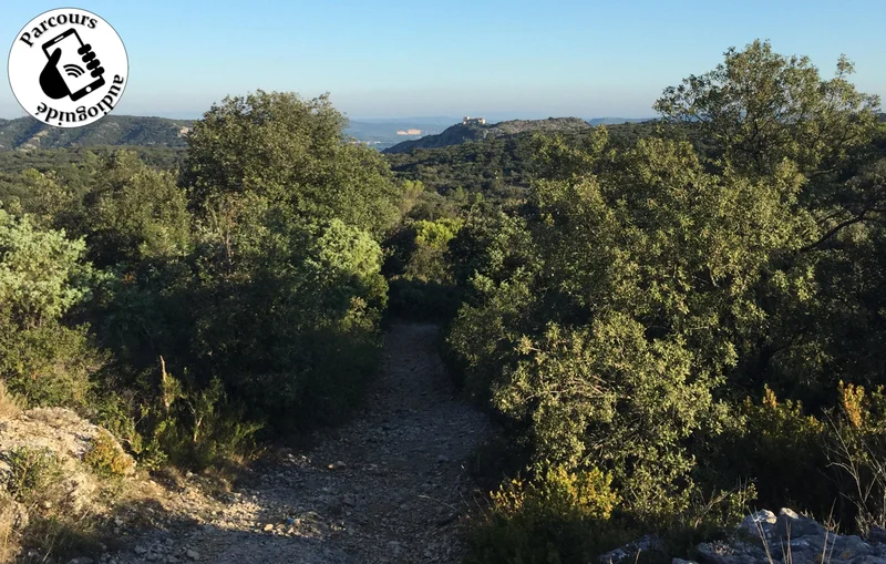 VTT Parcours VTT La Montagne de Lirac · Lirac