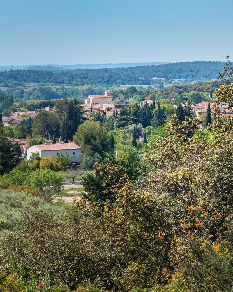 VTT Parcours VTT La Plaine de Combas · Combas