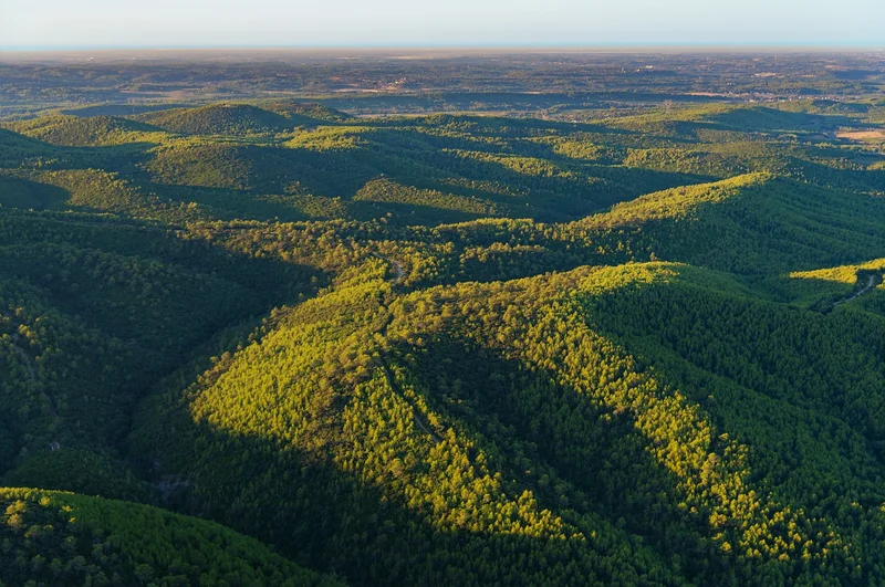 VTT Parcours VTT Le Bois des Lens. · Combas