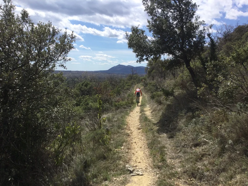 VTT VTT-FFC® - Sous le Serre de Fons et la Table des Turcs · Méjannes-le-Clap