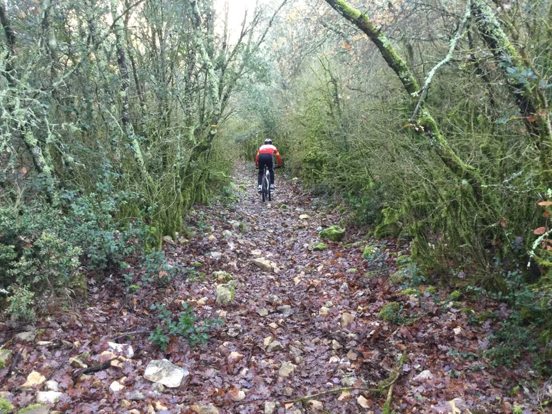 VTT VTT-FFC® - La Baume des Fades et l'Aven de Peyre Haute · Méjannes-le-Clap