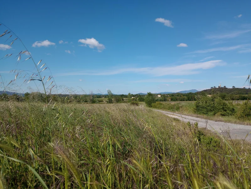 Vélo de route Boucle cyclo-découverte le Criterium des Vignes · Lédignan
