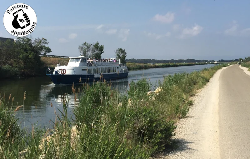 Vélo de route voie verte D'Aigues-Mortes à l'Espiguette · Aigues-Mortes