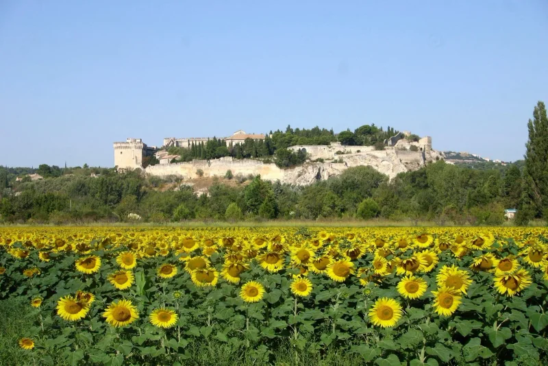 Vélo de route Boucle cyclo-découverte La rive droite du Rhône · Villeneuve-lès-Avignon