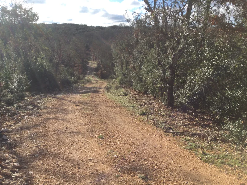 Vélo de route Aven de Peyre Haute et Baume des Fades (Gravel) · Méjannes-le-Clap