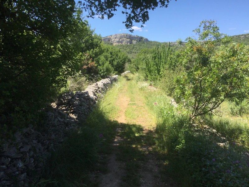 Vélo de route Lussan, village perché de caratère (Gravel) · Méjannes-le-Clap