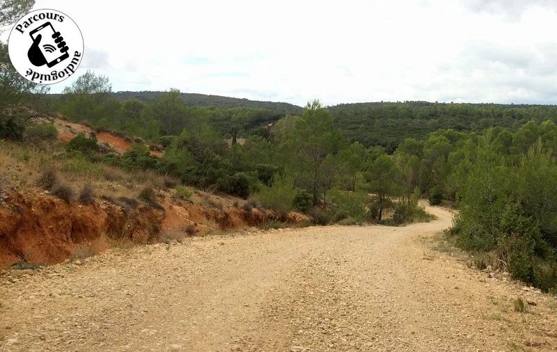 Trail Trail Le Vallon de Robiac · Fons