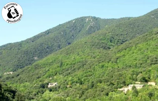 Trail Trail du Menhir du Col de Bès · Saint-Martial