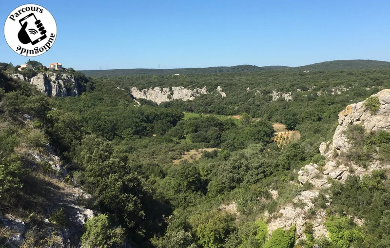 Trail Trail de la Combe · Rochefort-du-Gard