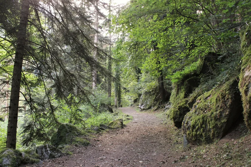 Randonnée Le tour du Vallon Thermal · Cauterets