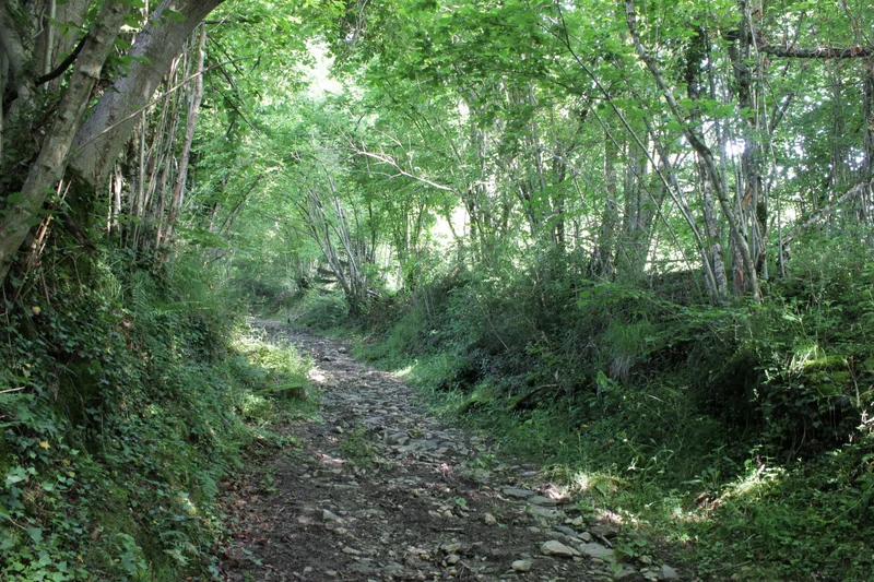 Randonnée Les granges des Artigaux · Marsous