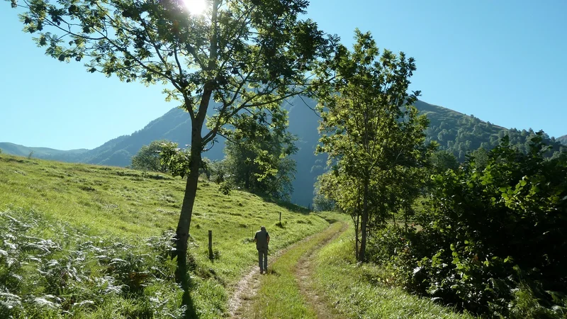 Randonnée D'Ortiac à Isaby · Villelongue