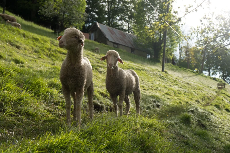 Randonnée Le tour de Serris · Beaudéan