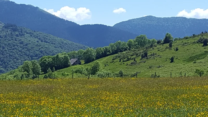 Randonnée Les granges des Sarrats · Campan