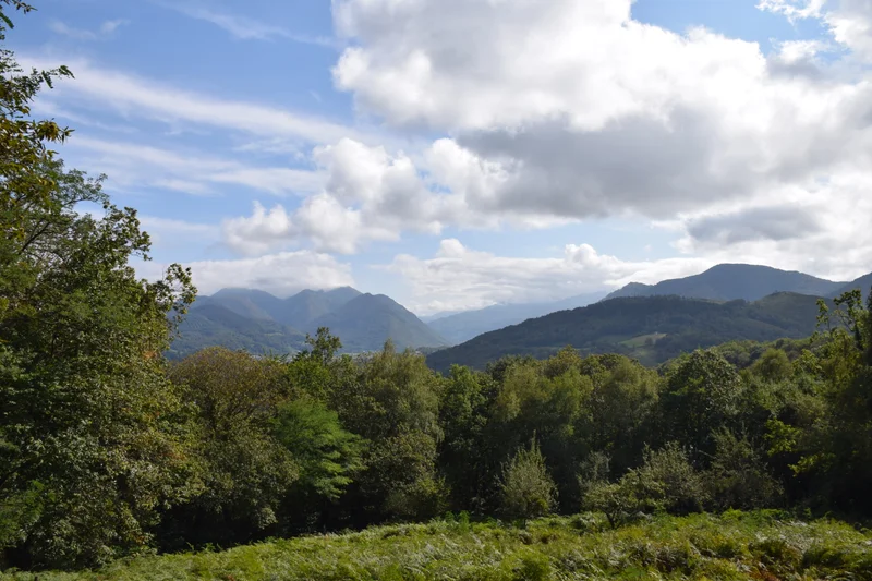 Randonnée La boucle de la forêt de Pouzac · Pouzac
