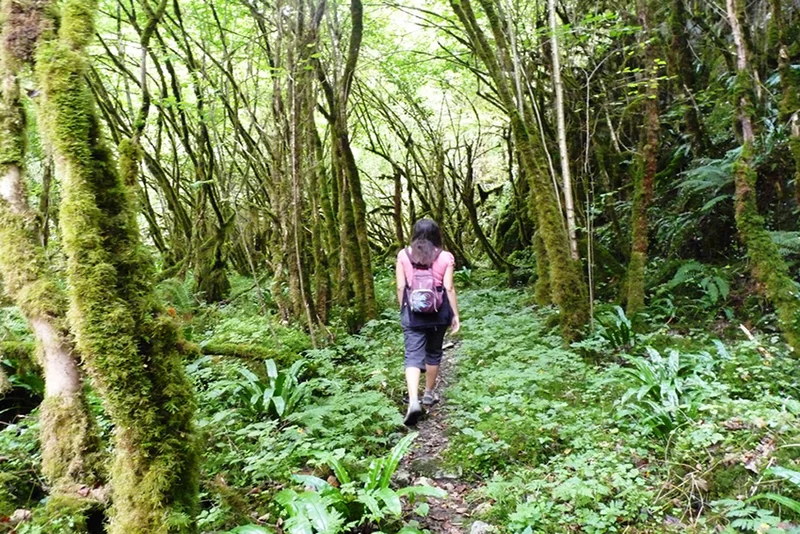 Randonnée Chemin de la Cantère · Molère