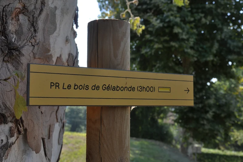Randonnée Bois de Gelabonde · Tajan