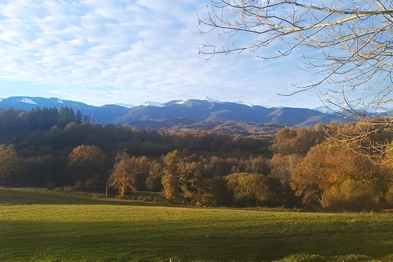 Randonnée Chemin des Tumulus · Molère