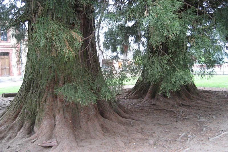 Randonnée Cap des Castagnères · Uglas
