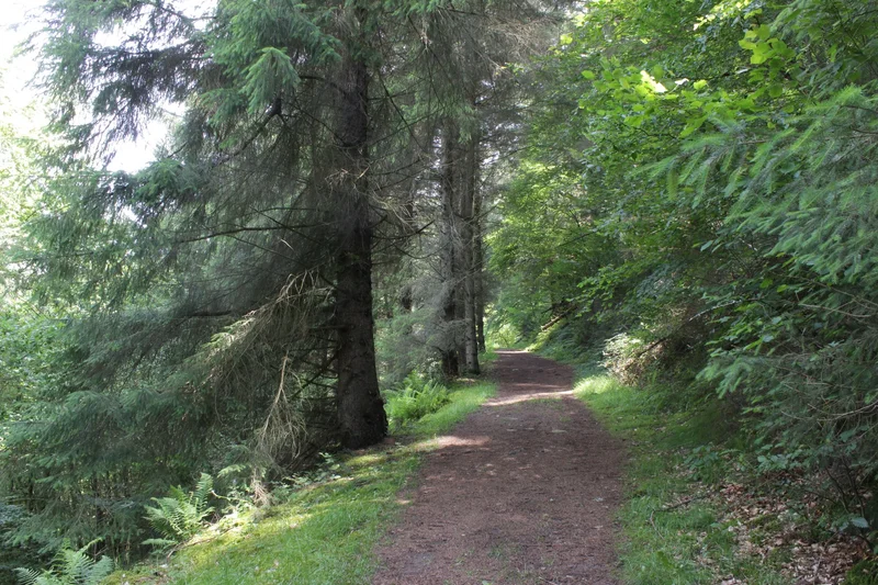 Randonnée Autour des Villages · Arrens-Marsous