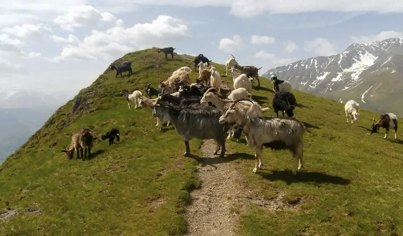 Randonnée Plo del Naou · Aspin-Aure